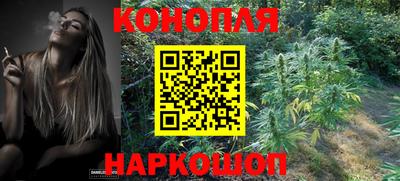 стаф Балашиха